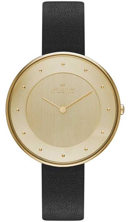 Skagen Watch Gitte Ladies